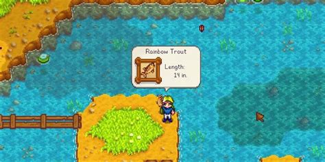 stardew valley rainbow trout.
